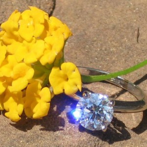 In full bloom...