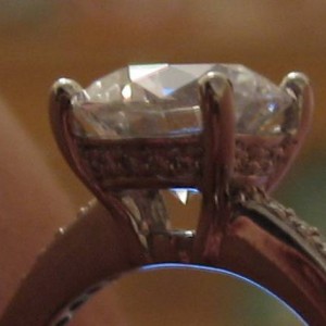 Ritani non halo endless love profile