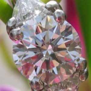 Skippy's Happy Ring