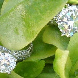 2 round brilliant solitaires