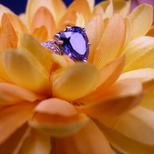 digital pics 477.jpg