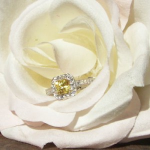 Homer sapphire in Whiteflash ring