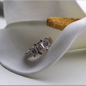 Bethanying's E-ring2