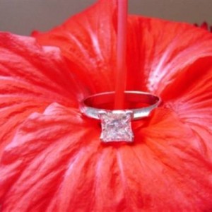 Chiquitapet's Princess Solitaire
