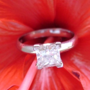 Chiquitapet's Princess Solitaire II