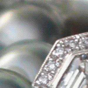 P7260100ps.gif