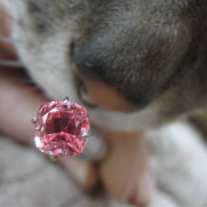 LaurenThePartier's 2.03 ct. Cushion Padparadscha