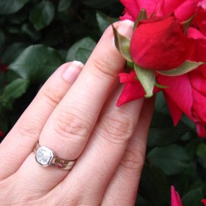 LTP's e-ring and roses