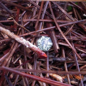 Grossularite Mint Garnet