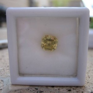 LaurenThePartier's 1.38 ct. PrecisionGem Grossular Garnet