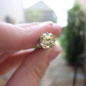 LaurenThePartier's 1.38 ct. PrecisionGem Grossular Garnet