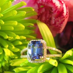 LaurenThePartier's EC Sapphire
