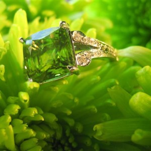 LaurenThePartier's 3.45 ct. Peridot