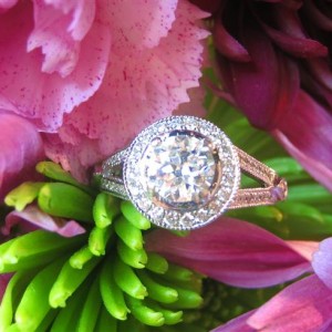 LaurenThePartier's .68 ct. OEC and LOGR setting
