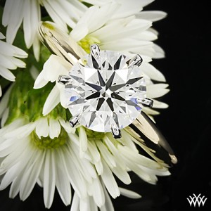 6 Prong Solitaire Engagement Ring