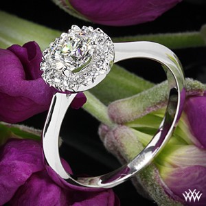 Custom 4 Prong Halo Solitaire Engagement Ring