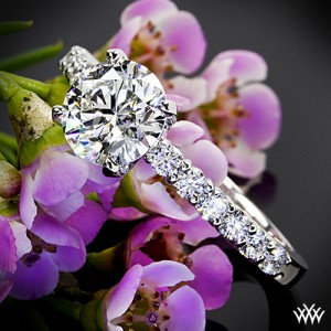 Diamonds for an Eternity 1/2 Diamond Engagement Ring