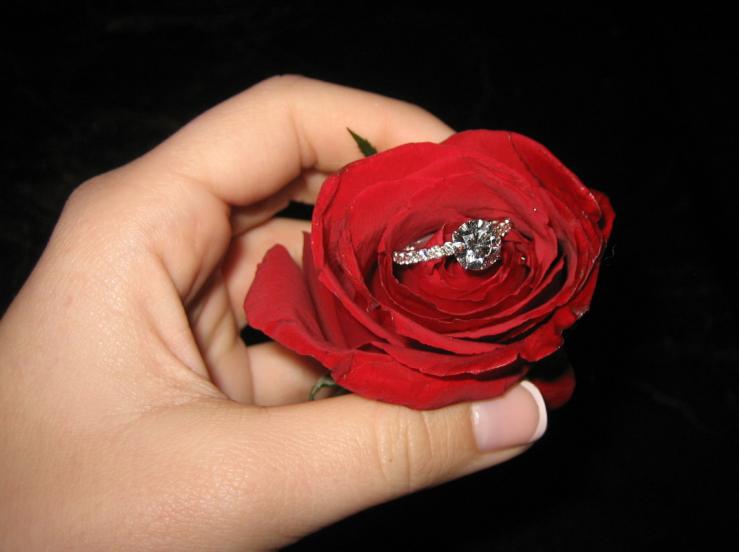 A Diamond Within a Red Rose