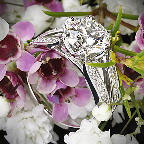 Custom Split Shank 6 Prong Diamond Engagement Ring