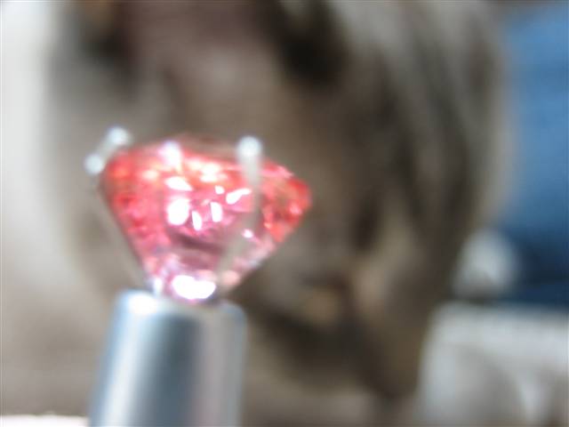 LaurenThePartier's 2.03 ct. Cushion Padparadscha