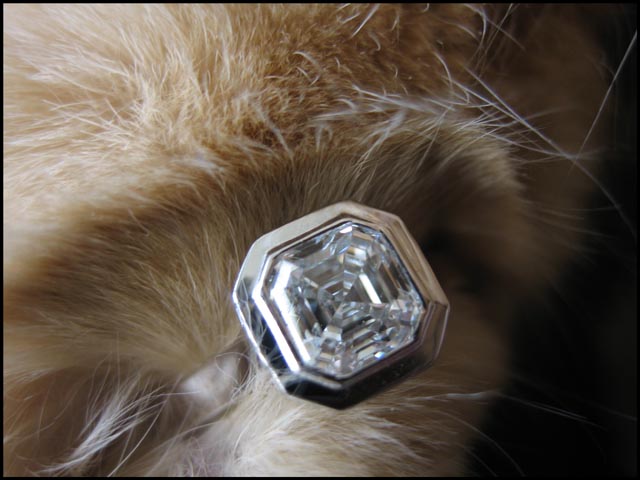 LaurenThePartier's Asscher
