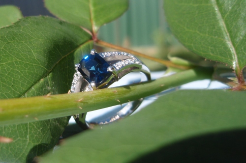 Ring on rose stem