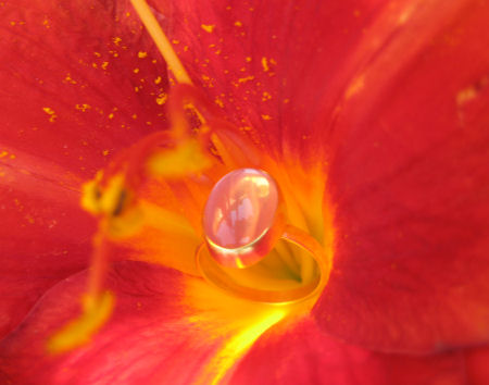 Star Rose Quartz Ring