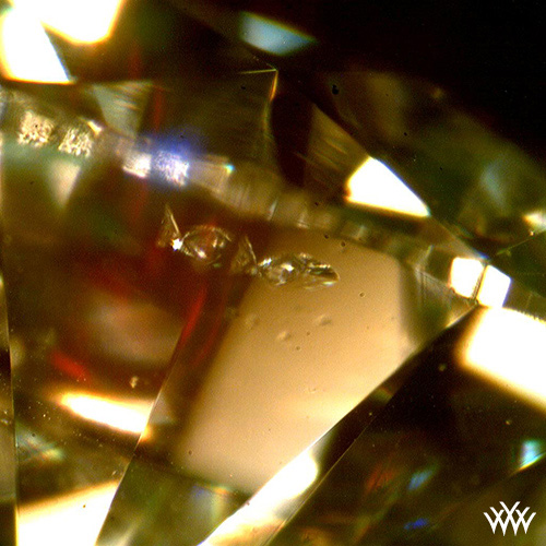 Diamond inclusions that resemble swimming fish