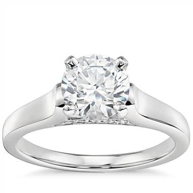 1 Carat Preset Truly Zac Posen Cathedral Solitaire Plus Diamond Engagement Ring in Platinum