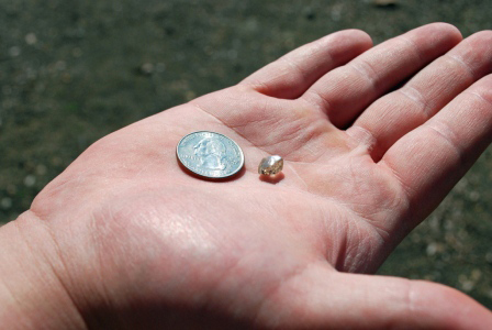 2.89-carat diamond found at Arkansas state park