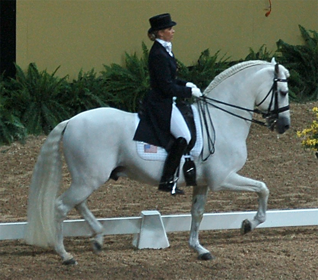 Kristina Harrison-Naness (USA) riding Rociero XV - PRE stallion\Grey\1995\ Rociero VIII x Jenson at 2007 FEI World Cup Finals Kristina Harrison-Naness (USA) riding Rociero XV - PRE stallion\Grey\1995\ Rociero VIII x Jenson at 2007 FEI World Cup Finals