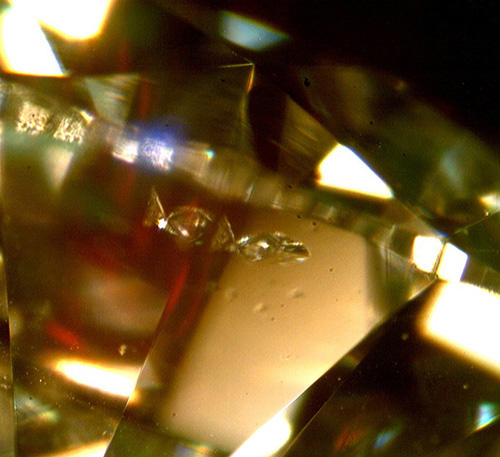 Interesting reflected diamond inclusion that resembles fish Interesting reflected diamond inclusion that resembles fish