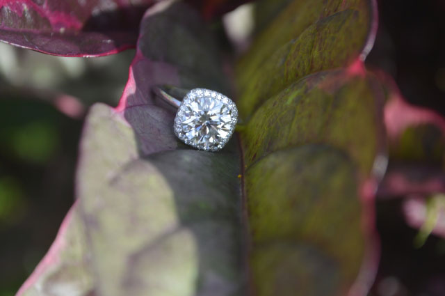 mns12's Two Row Pave Cushion Halo Ering3 - image by mns12 mns12's Two Row Pave Cushion Halo Ering3 - image by mns12