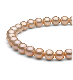 Freshwater pearl necklace • Pearl Paradise