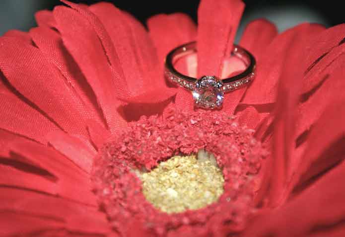 beebrisk's .85 Carat Platinum Micro Pave Engagement Ring (Flower View) - image by beebrisk