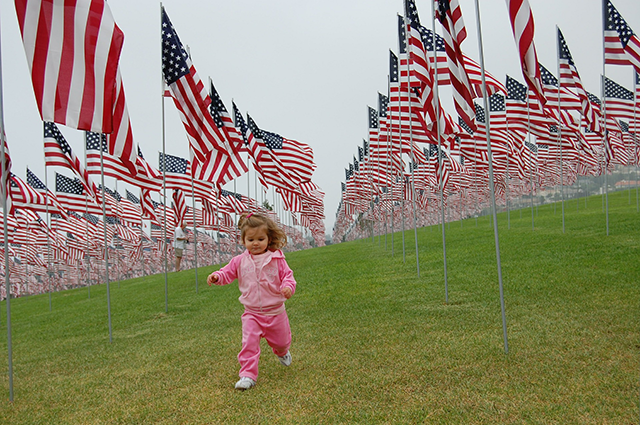 Veterans Day Veterans Day
