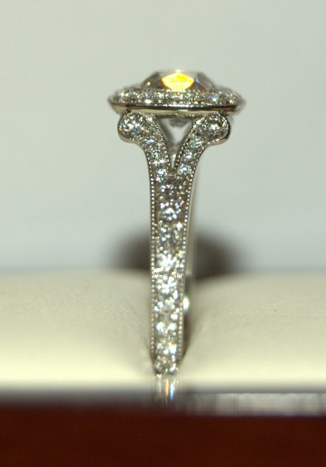 Cushion Cut Diamond Halo Engagement Ring Profile