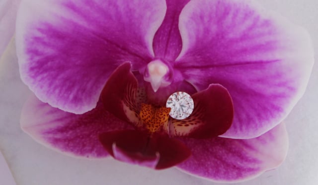 Loose diamond shared by JuneRose Loose diamond shared by JuneRose