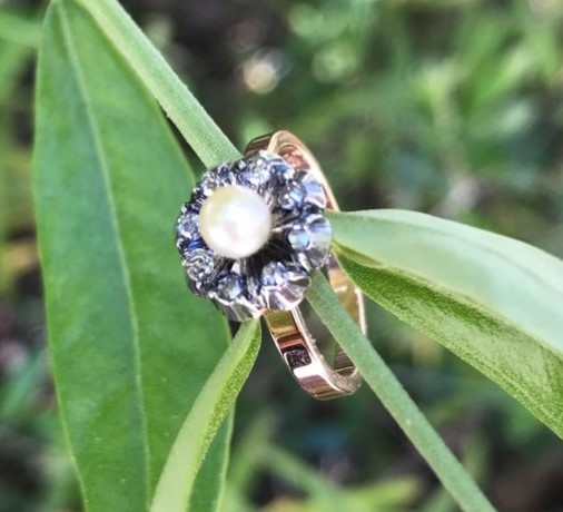There's a ring too! There's a ring too!