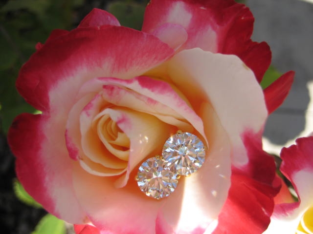 6+ ctw Diamond Studs by GOG 6+ ctw Diamond Studs by GOG