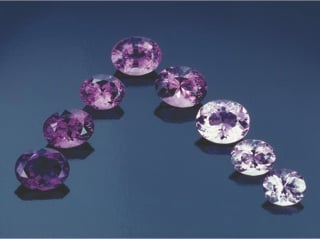 Tonal range of purples hue. Photo: Tino Hammond Tonal range of purples hue. Photo: Tino Hammond