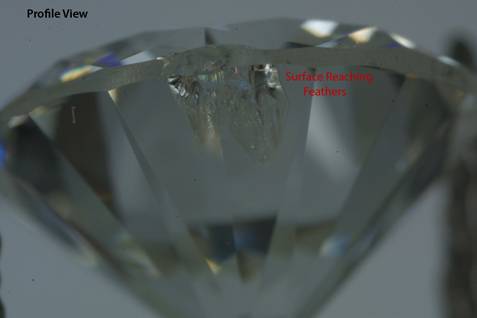 diamond - feather inclusion profile view