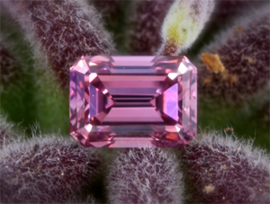 Fancy Purplish Pink Diamond