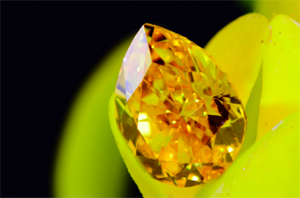 fancy-vivid-yellowish-orange-diamond-kenny-fcd