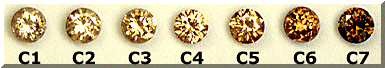 C1-C7Champagne-1.gif