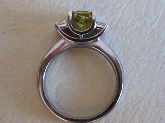 Diamond%20Chameleon8_1_1.JPG