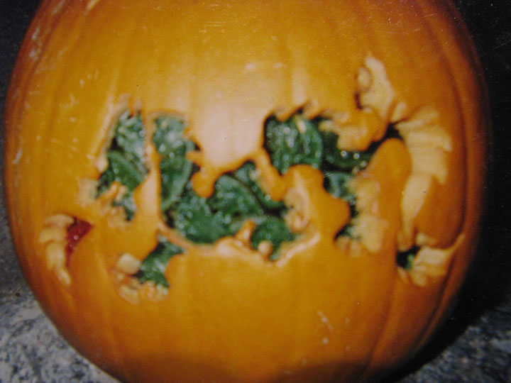 IMG_1250%20pumpkin%20freke.jpg