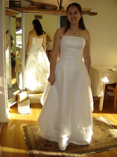 MirrorDressBustleJCJD01.JPG