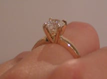PICT2553small.jpg