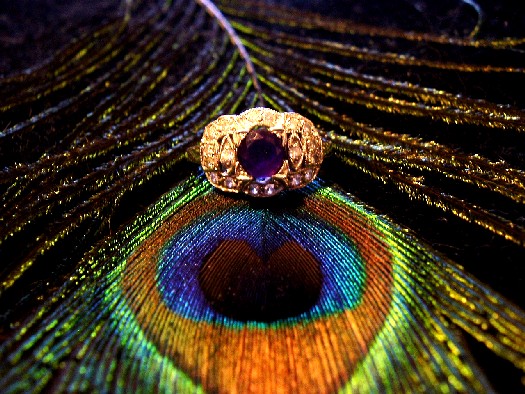 Peacock2.JPG